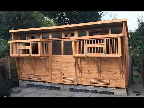 Master the Art of Designing the Perfect Pigeon Loft with These Expert Tips