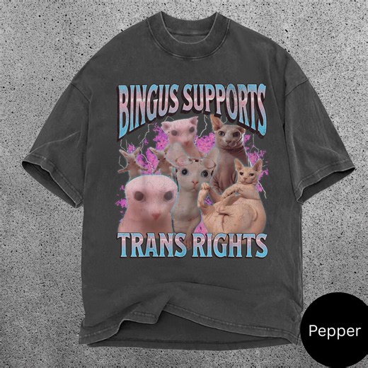 Bingus Supports Trans Rights Sphynx Cat Graphic Tee, Comfort Colors Heavyweight Shirt - Etsy