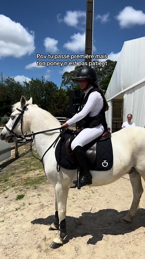 Poney Première : Un Concours Épique de Patience !