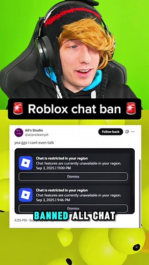 Roblox Banned Chat and Voice Features in Middle East