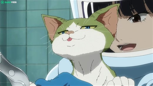 achis no me esperaba esa frase ni menos de un gato 😳 anime: nyaight of the living cat - Lalo Prime | El Rincón De Los Autobots