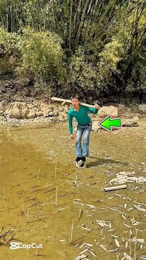 What the boy did to get across