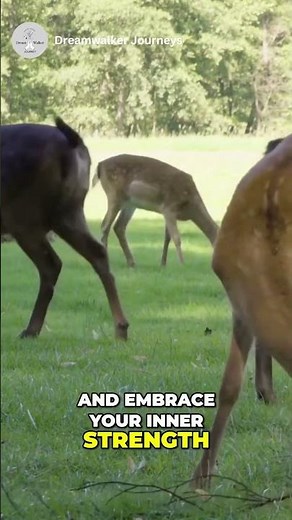 Spiritual Meaning of Seeing a Deer | Deer Symbolism #DeerSpirituality