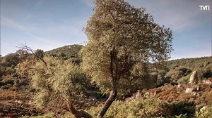 Génesis TVN | Capitulo 193 | Latino-1080P