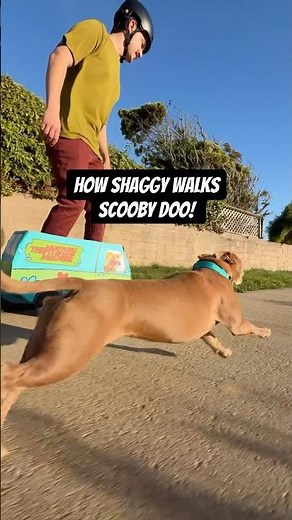 Shaggy takes Scooby-Doo for a run 🐶