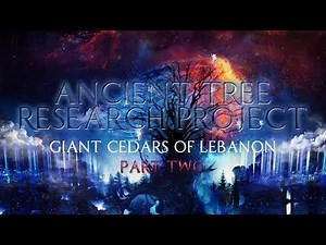 Ancient Tree Research Project | Giant Cedars of Lebanon Part 2 ▶️️