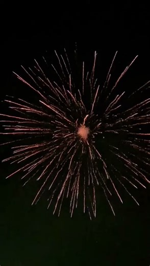 8“ Shell 🤯💣 #fireworks #4k #pyro #pyrotechnica #feuerwerk #experiment #automobile #paintball