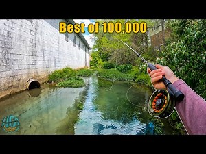 THE BEST FISHING / FLY FISHING VIDEO! (Best of 100,000 Subscribers)