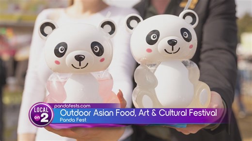 Panda Fest: Celebrating Asian Culture