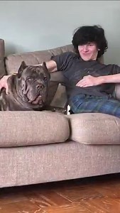 311 reactions · 15 comments | For anyone who’s been following the...