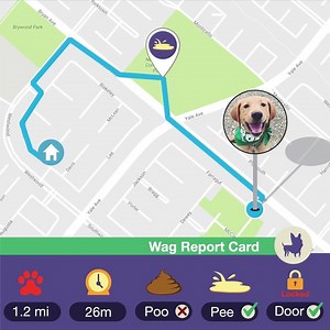 14 reactions | Join the 100,000+ dog owners who walk their dogs with Wag! | Wag | Facebook