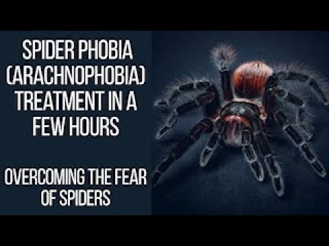 Spider Phobia (Arachnophobia) Treatment - How to overcome Spider Phobia in just a few hours