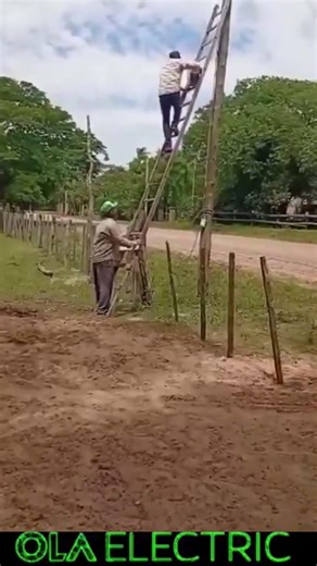 Why did this pole fail? 🪵⚠️ #fypシ゚viral #electricalengineering