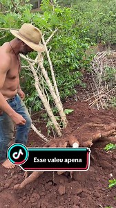 Trabalho Manual Agrícola Que Valeu a Pena