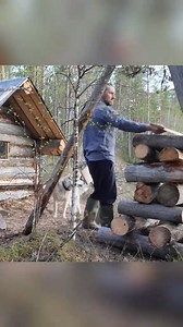149K views · 1.9K reactions | This man built a log cabin in a year part 4 #bushcraft #build #camping #survival #shelterlife #wildlife #outdoors #outdoor #viral #fyp #foryou | W3YA | Facebook