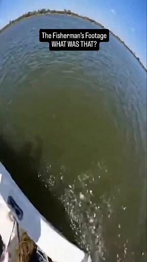 322K views · 1.8K reactions | A quiet day on the water turned into...