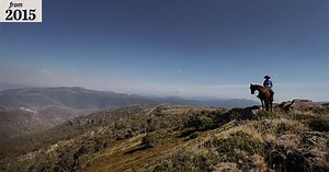 Interview with an alpine cattleman