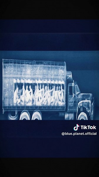 Explore Phobia: X-ray Mexico Border Test