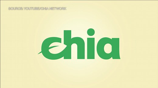 Chia Is Greener, More Secure Than Bitcoin, Ethereum: COO