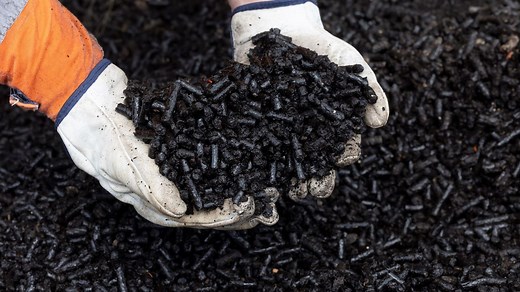 Genesis Energy inches towards burning biomass at Huntly in plan to reduce coal dependency