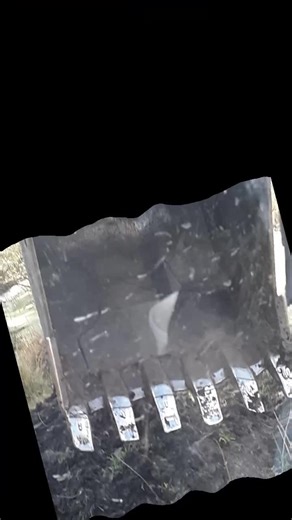 Dallas Moses (@cleetus.woods)’s videos with Sack Right (feat. Yo Gotti) - Rod Wave