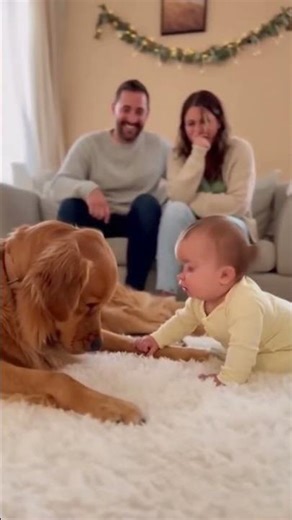 Baby Touches Dog’s Paw।#baby #funny #shorts