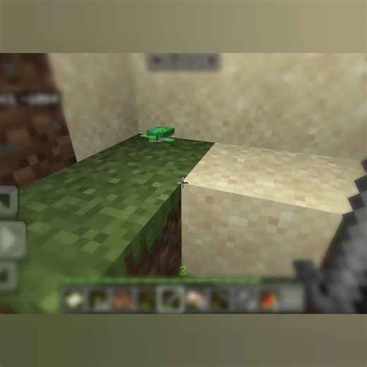 “This Tiny Baby Turtle Made My Day 🥹 | #minecraft #shorts