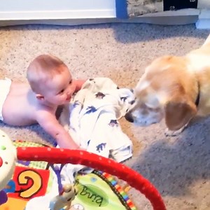 Funny Babies Playing With Pets 😘 ---------------------------- See more: https://www.youtube.com/watch?v=odL4T_-gscM Our group: https://bit.ly/3Idbtqs ---------------------------- #5minutefails #cutenesschallenge #baby #cutebaby #cute #babyplus #babylove #babycute | Funny Film
