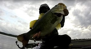 Lizard Lures Catch Big Bass in Alabama