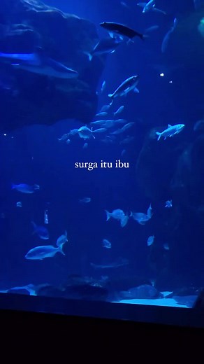 Explore the Colorful World of Aquarium Fish