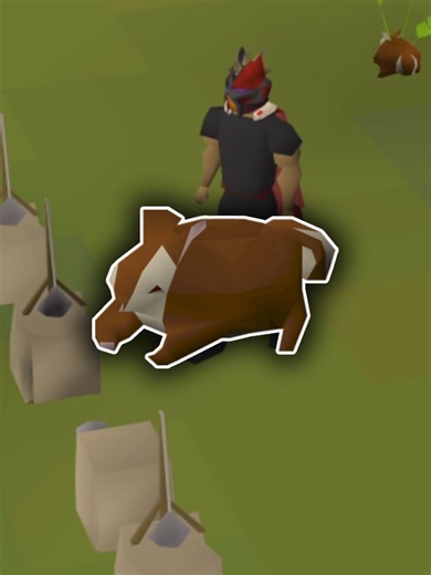 Easy Hunter Method for Farming in OSRS