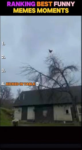 Ranking the Funniest Fails😂