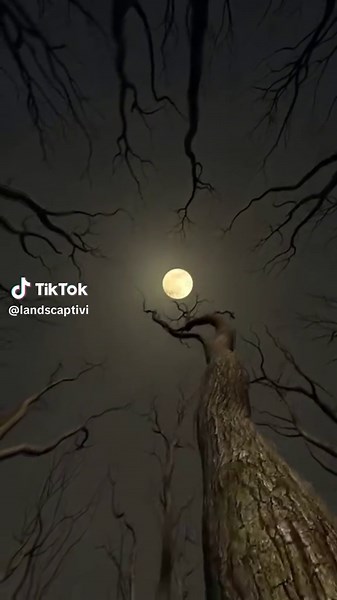 Moon 🌙 | moon