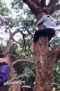 Best Funny Clips Action 😂👌 | Funny video