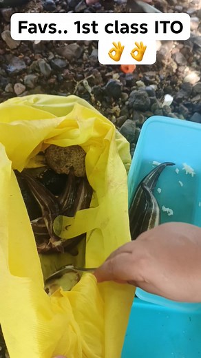 Kalami magtinola gyud👌 #highlightseveryonefollowers2025 #padagat #fishhunting | Eugene Nonoy