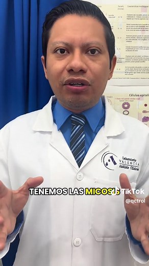 Clasificación de las Micosis: Infecciones por Hongos