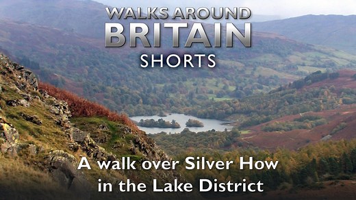 3.6K views · 4 comments | A quick look at a challenging walk over...