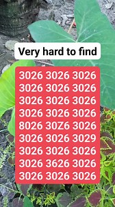 22K views · 832 reactions | #brainteaser #search #find | Basic Math | Facebook