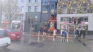Grand Parade, Cork has 2 new arrivals! | Cork Beo