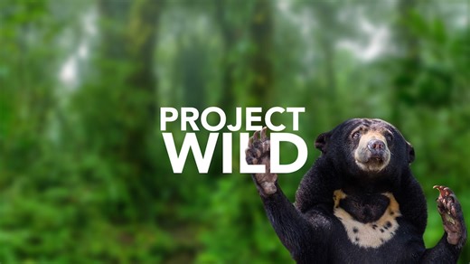 Project Wild: Cambodia - ABC Asia