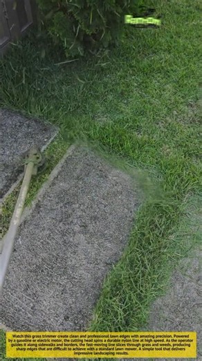This String Trimmer Creates Perfect Lawn Edges in Seconds! ✂️🌱