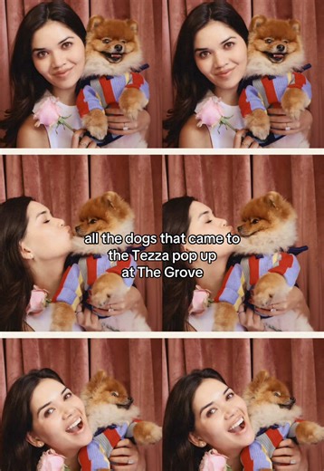 Us: let’s do a pop-up with zero chill LA: say less #tezzaapp #photobooth