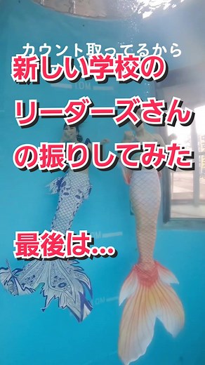 おすすめのアカウント