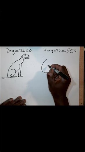 Easy Animal Drawings ✏️🐱🐶🦘🐰 | Using Alphabets & Numbers