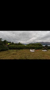 One of our latest projects — a full height reduction and trim of this overgrown Griselinia hedge. In some areas, we reduced the height by over 6ft and worked through a depth of more than 20ft. The result? A perfectly shaped hedge and one of the most stunning views in Kerry finally revealed again! ✨ Every job we take on is carried out with precision, care, and attention to detail — that’s what sets Munster Exteriors apart. 📍 Serving Killarney and surrounding areas. 📞 Call or message 089 405 227