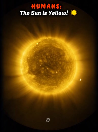 The Sun’s Real Color Explained