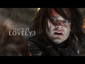 Bucky Barnes | Lovely