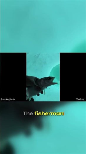 Watch this angler give a fish the ultimate "burp"! 🤯