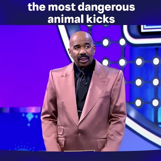 54K views · 998 reactions | Which Animal’s Kick Could Put You in the ICU? #SteveHarvey #FamilyFeud #funny | Top Family Feud Africa Moments | Facebook