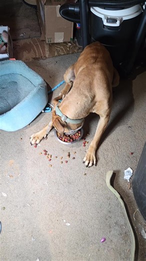 amber.kayser (@amber.kayser)’s videos with original sound - amber.kayser